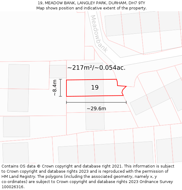 19, MEADOW BANK, LANGLEY PARK, DURHAM, DH7 9TY: Plot and title map