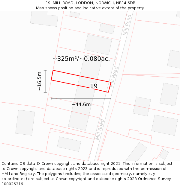 19, MILL ROAD, LODDON, NORWICH, NR14 6DR: Plot and title map
