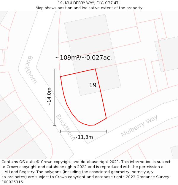 19, MULBERRY WAY, ELY, CB7 4TH: Plot and title map