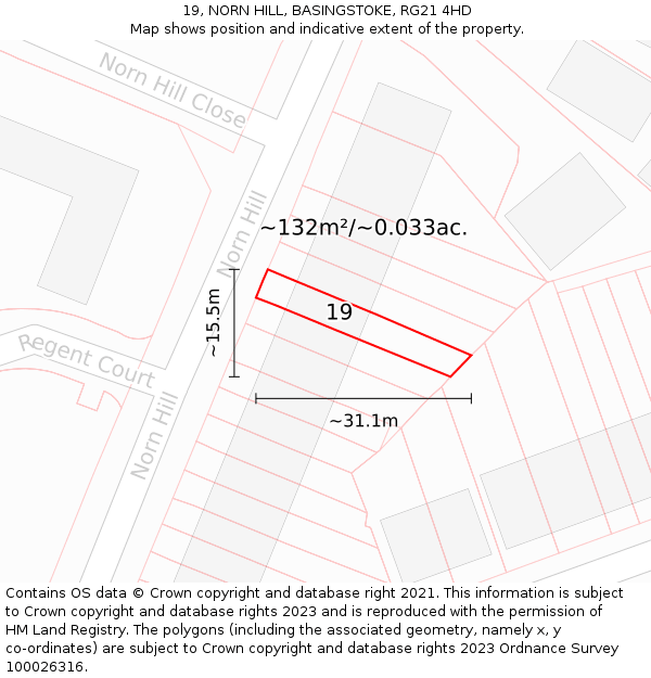 19, NORN HILL, BASINGSTOKE, RG21 4HD: Plot and title map
