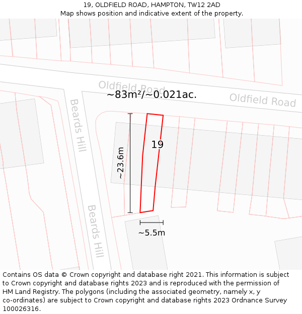 19, OLDFIELD ROAD, HAMPTON, TW12 2AD: Plot and title map