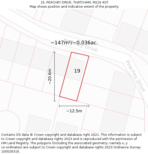 19, PEACHEY DRIVE, THATCHAM, RG19 4GT: Plot and title map