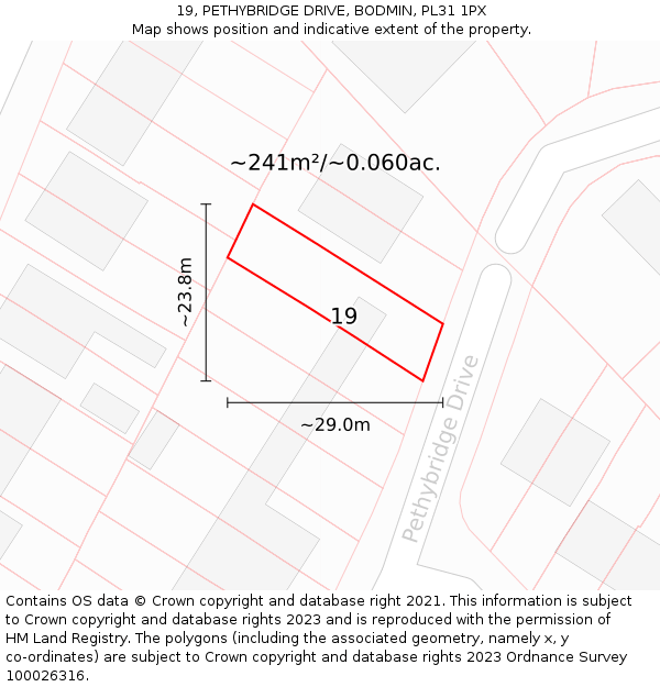 19, PETHYBRIDGE DRIVE, BODMIN, PL31 1PX: Plot and title map