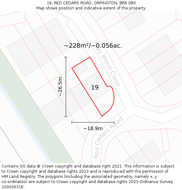 19, RED CEDARS ROAD, ORPINGTON, BR6 0BX: Plot and title map