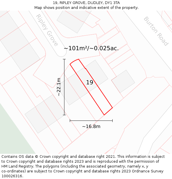 19, RIPLEY GROVE, DUDLEY, DY1 3TA: Plot and title map