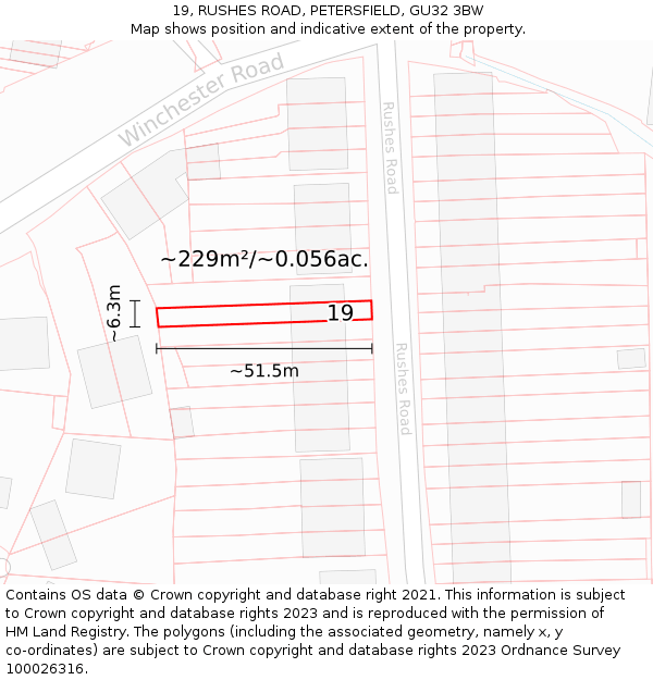 19, RUSHES ROAD, PETERSFIELD, GU32 3BW: Plot and title map