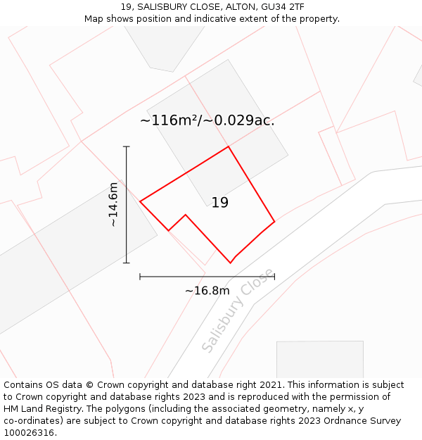 19, SALISBURY CLOSE, ALTON, GU34 2TF: Plot and title map