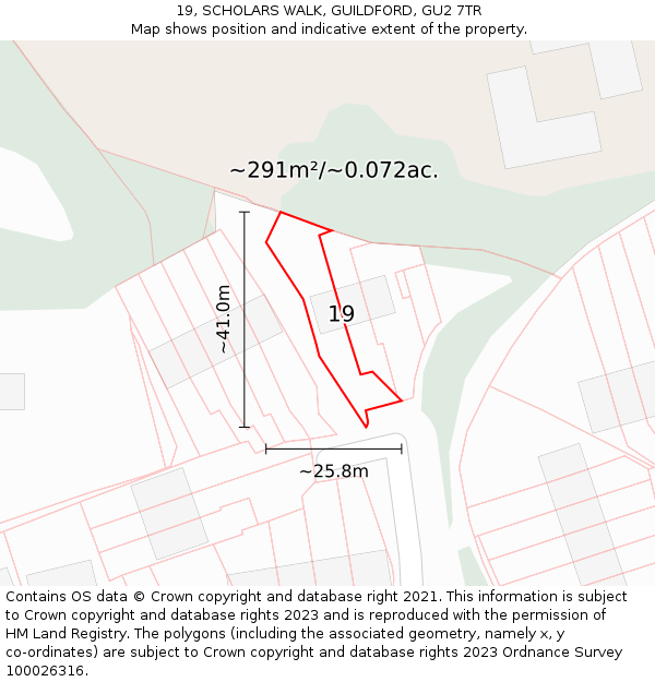 19, SCHOLARS WALK, GUILDFORD, GU2 7TR: Plot and title map