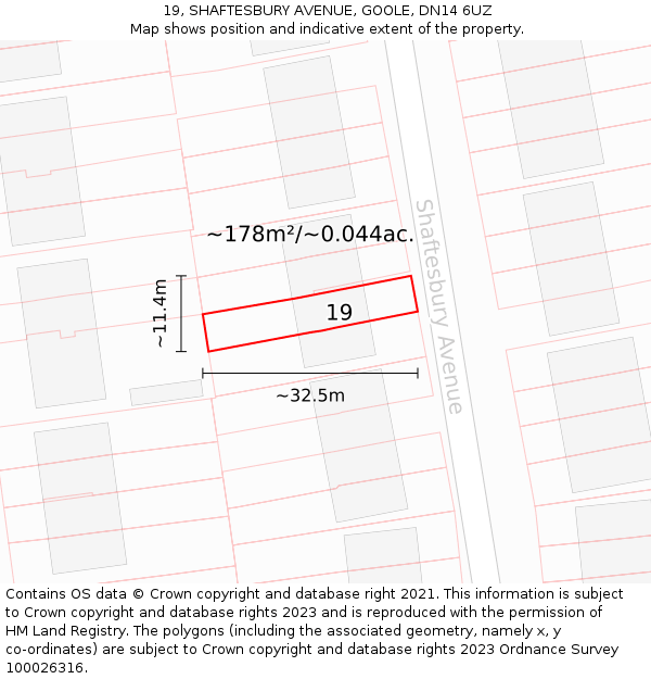 19, SHAFTESBURY AVENUE, GOOLE, DN14 6UZ: Plot and title map
