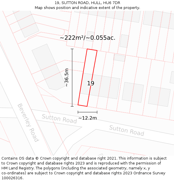 19, SUTTON ROAD, HULL, HU6 7DR: Plot and title map
