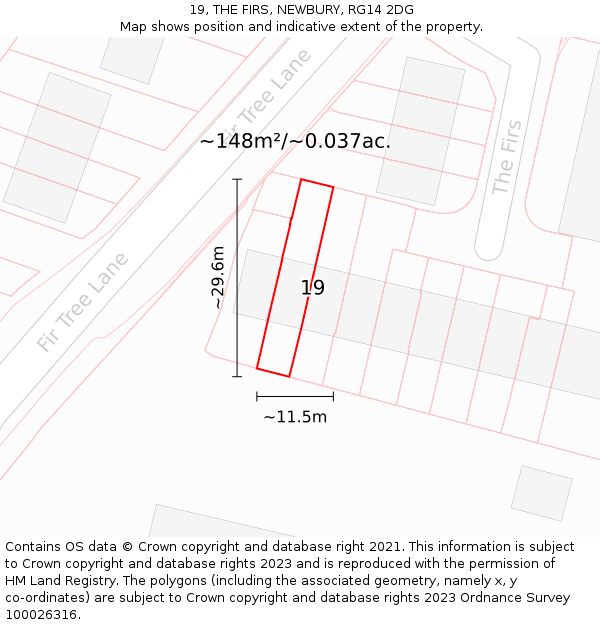 19, THE FIRS, NEWBURY, RG14 2DG: Plot and title map