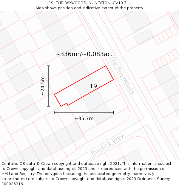 19, THE RAYWOODS, NUNEATON, CV10 7LU: Plot and title map