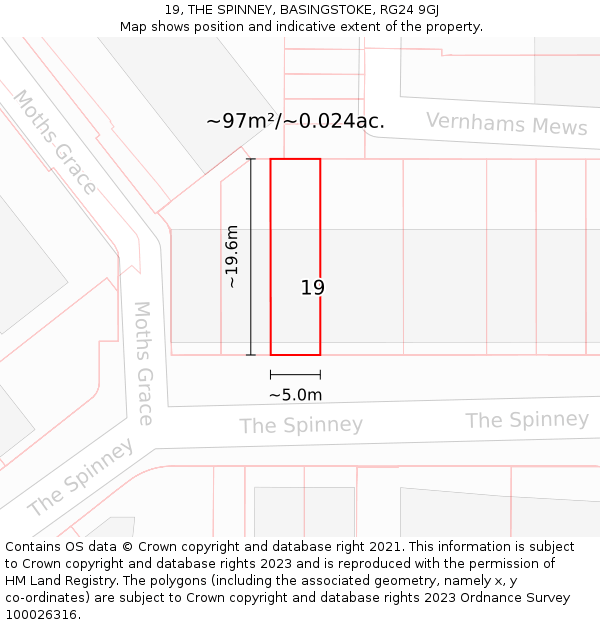 19, THE SPINNEY, BASINGSTOKE, RG24 9GJ: Plot and title map
