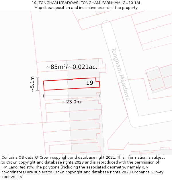 19, TONGHAM MEADOWS, TONGHAM, FARNHAM, GU10 1AL: Plot and title map