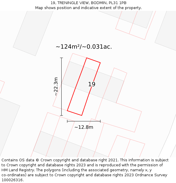 19, TRENINGLE VIEW, BODMIN, PL31 1PB: Plot and title map