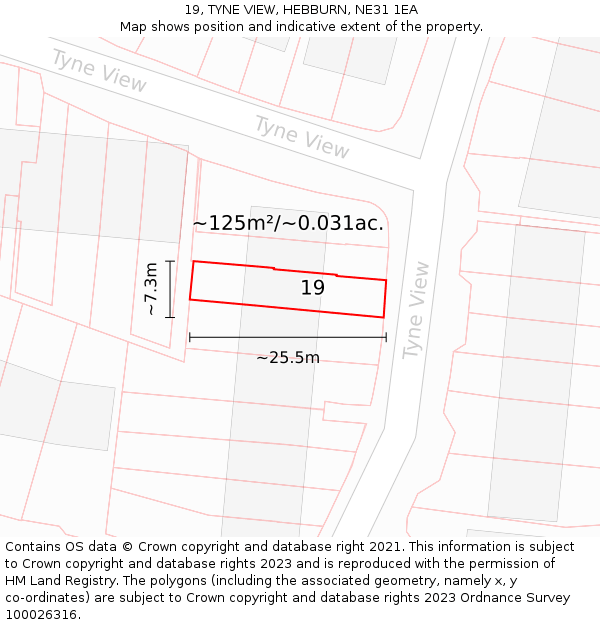 19, TYNE VIEW, HEBBURN, NE31 1EA: Plot and title map