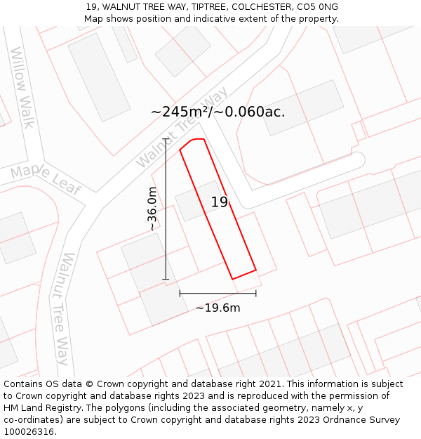 19, WALNUT TREE WAY, TIPTREE, COLCHESTER, CO5 0NG: Plot and title map