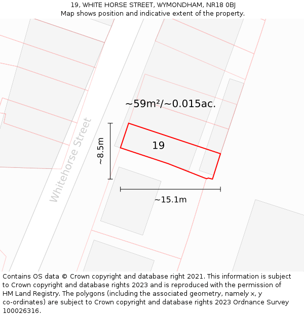 19, WHITE HORSE STREET, WYMONDHAM, NR18 0BJ: Plot and title map