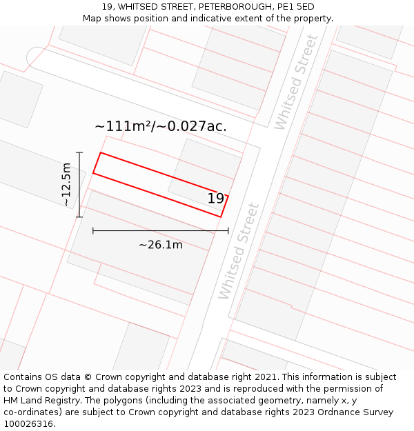 19, WHITSED STREET, PETERBOROUGH, PE1 5ED: Plot and title map