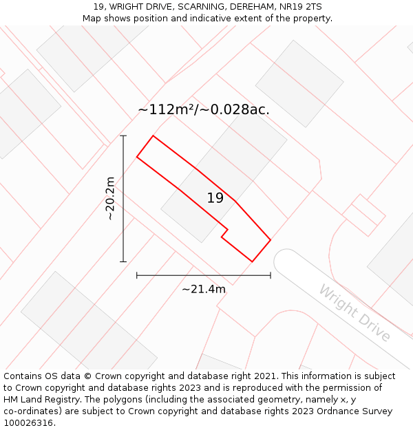 19, WRIGHT DRIVE, SCARNING, DEREHAM, NR19 2TS: Plot and title map