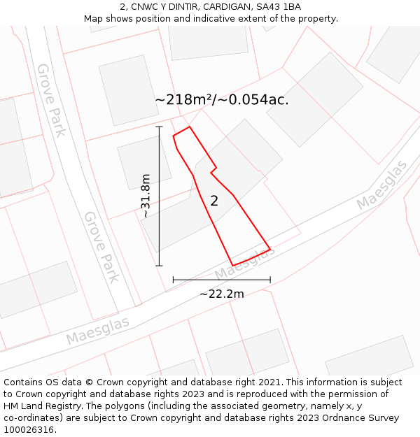 2, CNWC Y DINTIR, CARDIGAN, SA43 1BA: Plot and title map