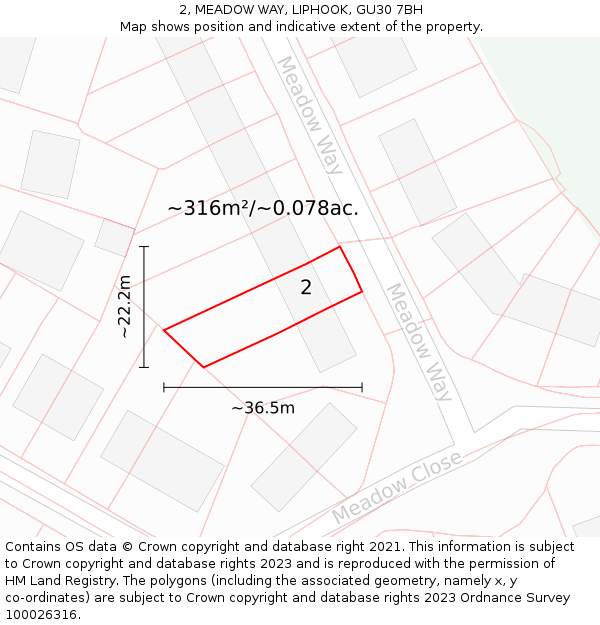 2, MEADOW WAY, LIPHOOK, GU30 7BH: Plot and title map