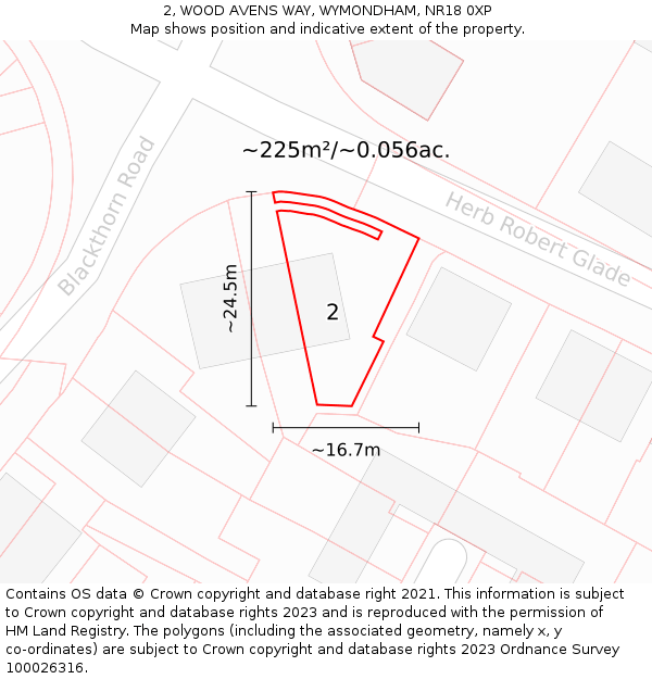2, WOOD AVENS WAY, WYMONDHAM, NR18 0XP: Plot and title map