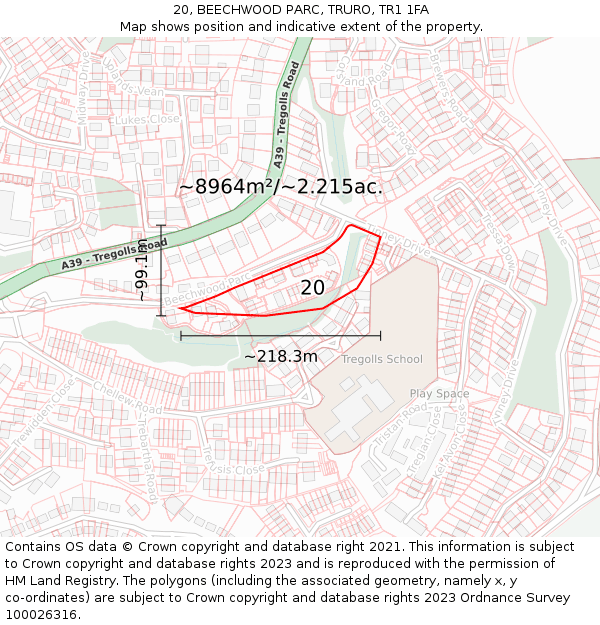 20, BEECHWOOD PARC, TRURO, TR1 1FA: Plot and title map
