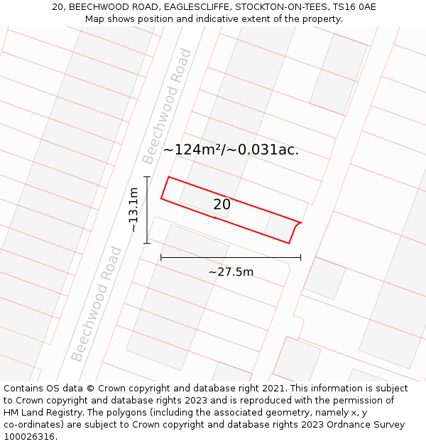20, BEECHWOOD ROAD, EAGLESCLIFFE, STOCKTON-ON-TEES, TS16 0AE: Plot and title map