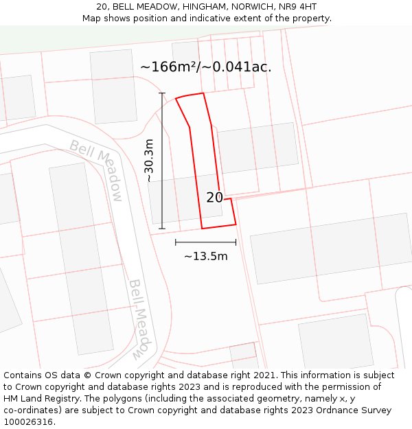 20, BELL MEADOW, HINGHAM, NORWICH, NR9 4HT: Plot and title map