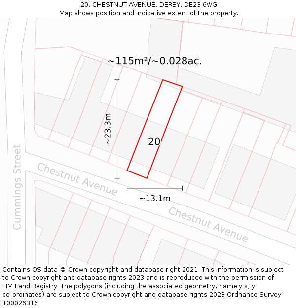 20, CHESTNUT AVENUE, DERBY, DE23 6WG: Plot and title map