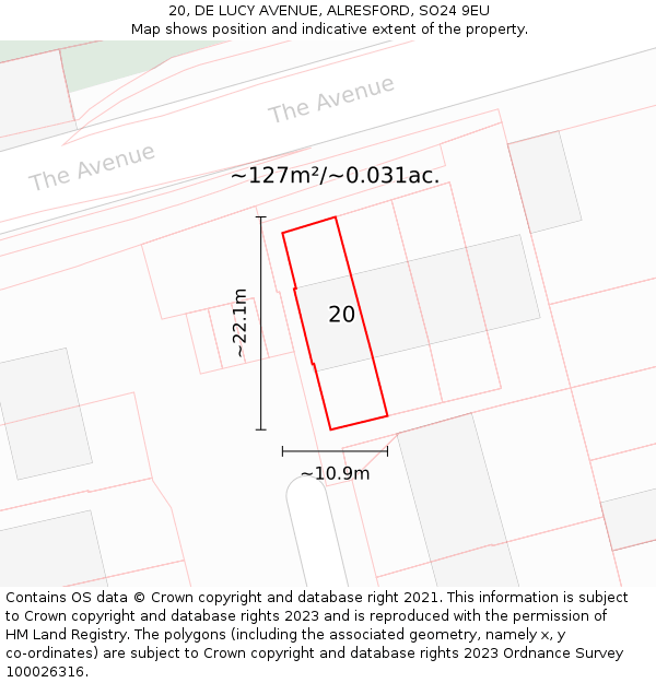20, DE LUCY AVENUE, ALRESFORD, SO24 9EU: Plot and title map