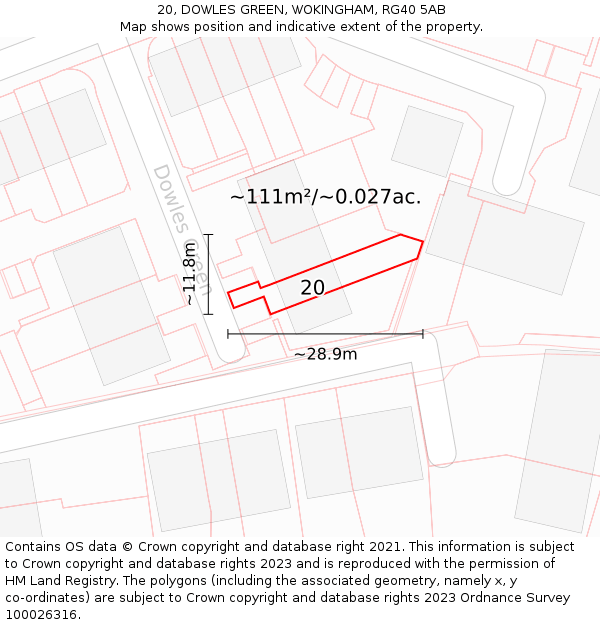 20, DOWLES GREEN, WOKINGHAM, RG40 5AB: Plot and title map