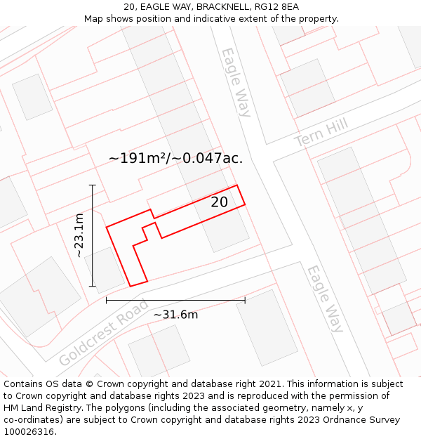 20, EAGLE WAY, BRACKNELL, RG12 8EA: Plot and title map