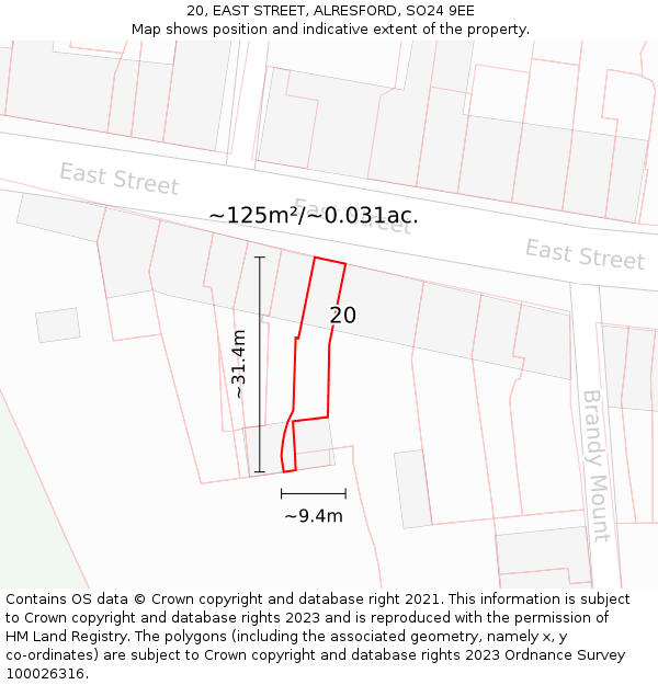 20, EAST STREET, ALRESFORD, SO24 9EE: Plot and title map