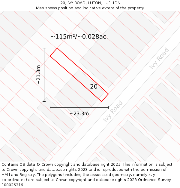 20, IVY ROAD, LUTON, LU1 1DN: Plot and title map