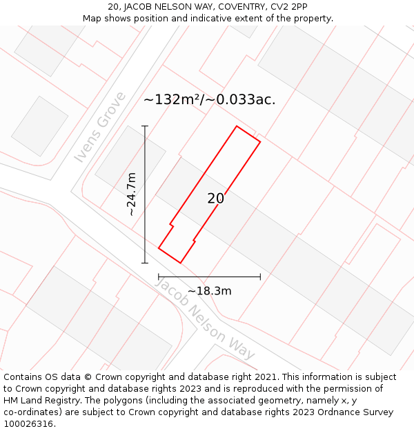 20, JACOB NELSON WAY, COVENTRY, CV2 2PP: Plot and title map