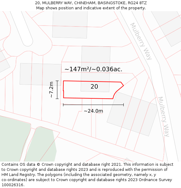 20, MULBERRY WAY, CHINEHAM, BASINGSTOKE, RG24 8TZ: Plot and title map