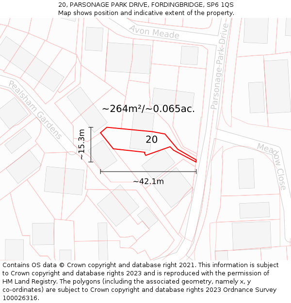 20, PARSONAGE PARK DRIVE, FORDINGBRIDGE, SP6 1QS: Plot and title map
