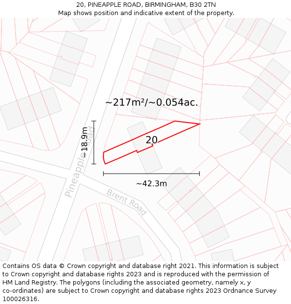 20, PINEAPPLE ROAD, BIRMINGHAM, B30 2TN: Plot and title map