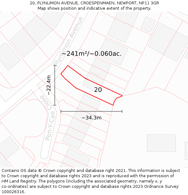 20, PLYNLIMON AVENUE, CROESPENMAEN, NEWPORT, NP11 3GR: Plot and title map