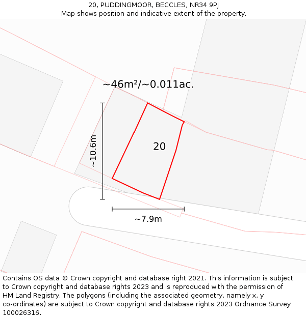 20, PUDDINGMOOR, BECCLES, NR34 9PJ: Plot and title map
