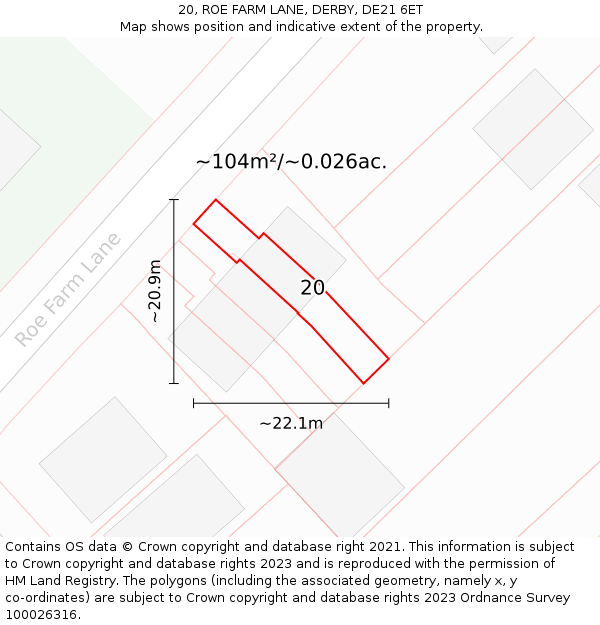 20, ROE FARM LANE, DERBY, DE21 6ET: Plot and title map