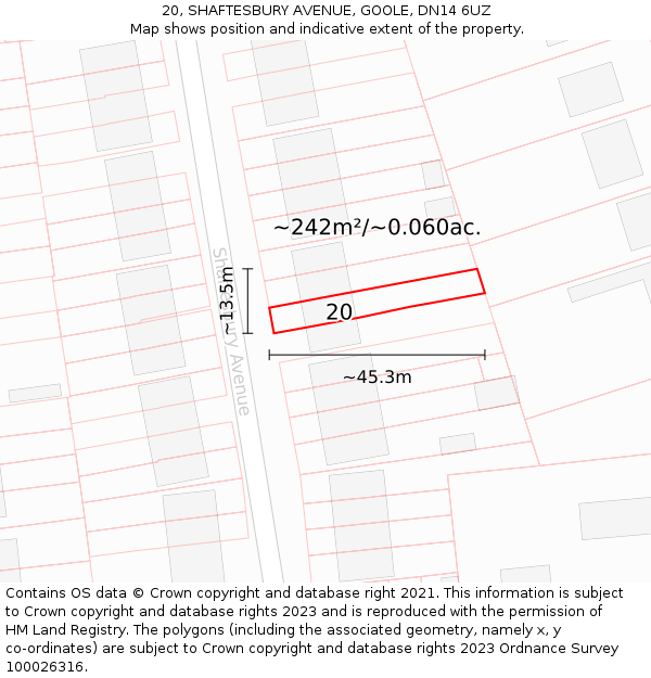 20, SHAFTESBURY AVENUE, GOOLE, DN14 6UZ: Plot and title map