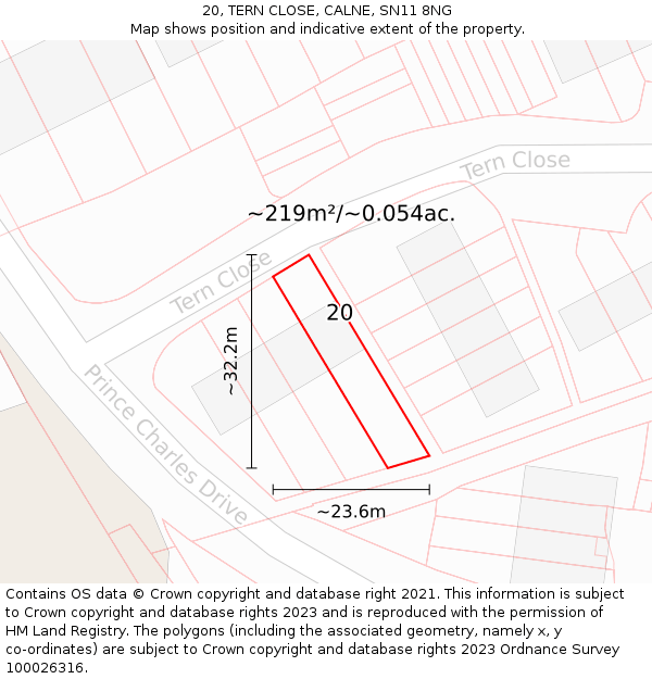 20, TERN CLOSE, CALNE, SN11 8NG: Plot and title map