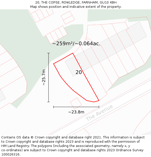 20, THE COPSE, ROWLEDGE, FARNHAM, GU10 4BH: Plot and title map