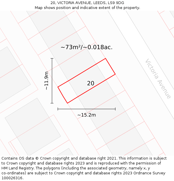 20, VICTORIA AVENUE, LEEDS, LS9 9DG: Plot and title map
