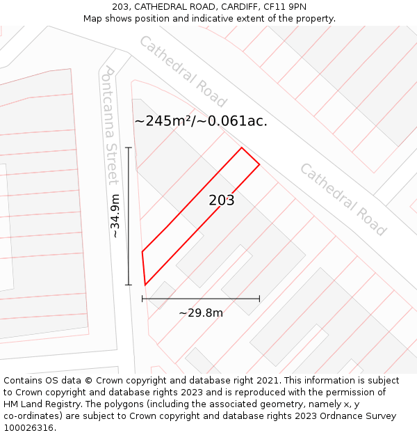 203, CATHEDRAL ROAD, CARDIFF, CF11 9PN: Plot and title map