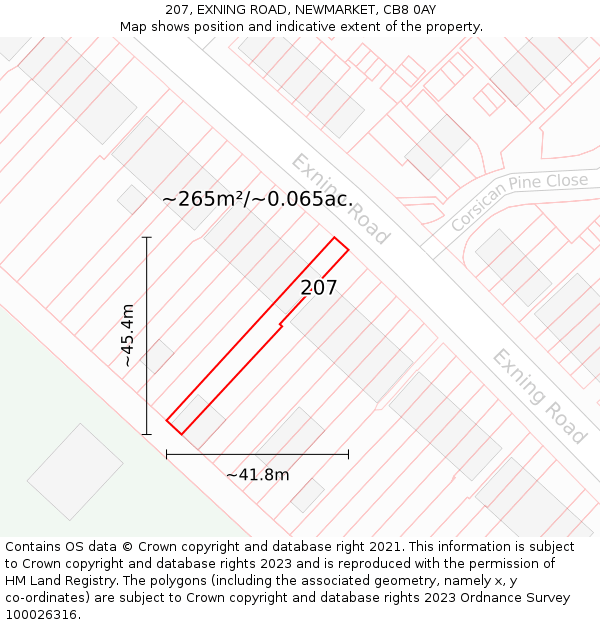 207, EXNING ROAD, NEWMARKET, CB8 0AY: Plot and title map