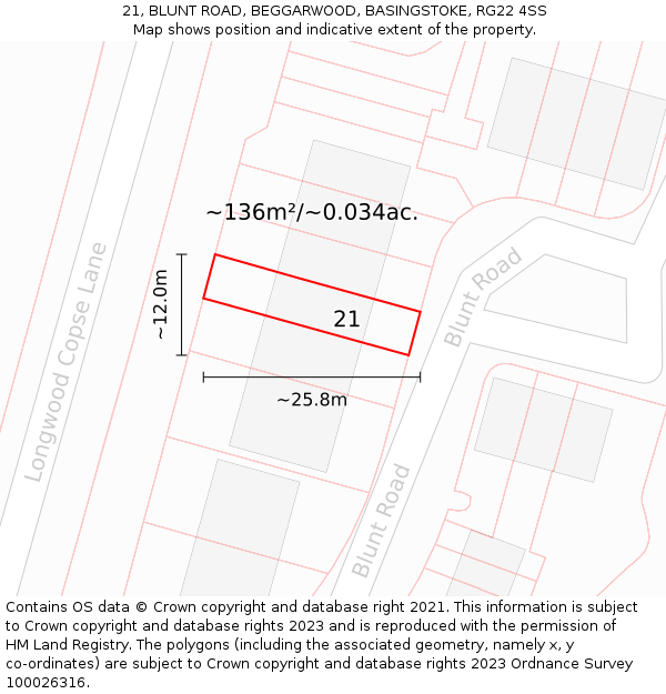 21, BLUNT ROAD, BEGGARWOOD, BASINGSTOKE, RG22 4SS: Plot and title map